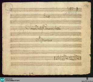 Symphonies - Mus. Hs. 816 : vl (2), vla, cor (2), b; G; JenS 48
