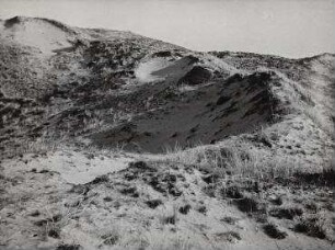 Ohne Titel (Dünen)