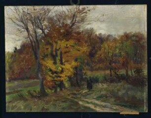 Feldweg im Herbst