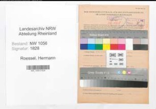 Entnazifizierung Hermann Roessel , geb. 23.05.1902 (Angestellter)