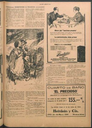 El pájaro-fragata