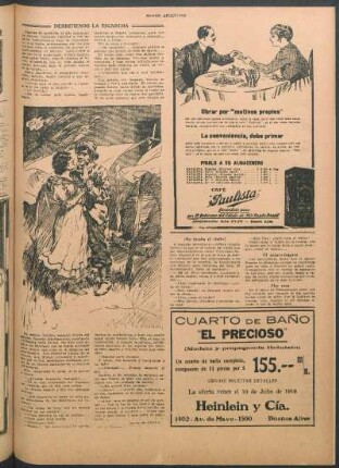 El pájaro-fragata