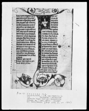 Bibel (Regum - Iob) — Initiale F (uit vir), darin ein Prophet mit Schriftband