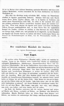 Der wunderbare Haushalt der Ameisen.