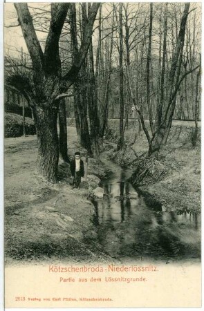 Kötzschenbroda. Niederlößnitz, Lößnitzgrund