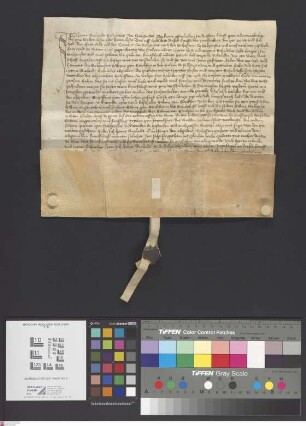 Seligenstadt: Originalia Prälatur Seligenstadt gegen die klösterlichen Hübner zu Stockstadt puncto glandis legendae pro tertia porte in dem Stocks...