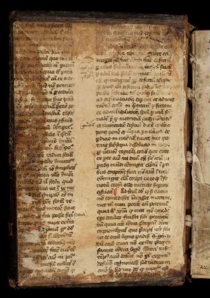 Scriptum super Sententiis, lib. II dist. XIX qu. 2 (Auszug)