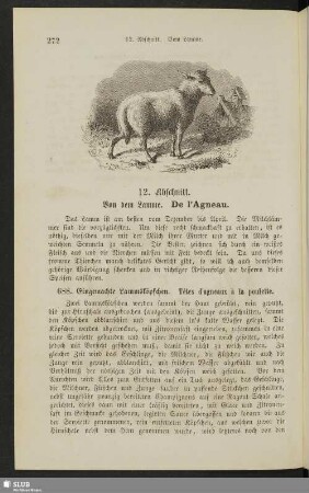 12. Abschnitt. Von dem Lamme. Du l'agneau