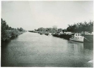 Regele-Carol-Kanal mit Weiden-Galeriegehölz