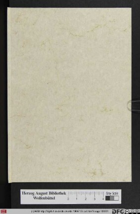 Theses Theologicæ De Pontifice Romano