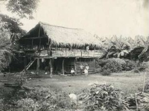 Indianer-Hütte im Küstenland, daneben Bananenpflanzung