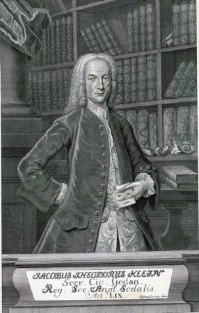 Jacobus Theodorus Klein