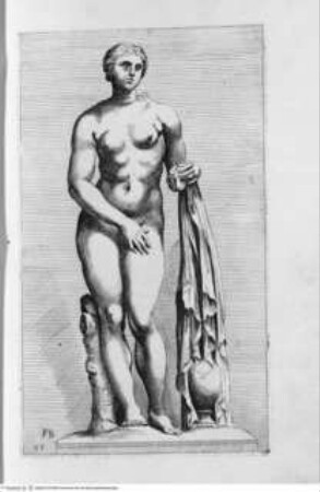 Segmenta nobilium signorum e[t] statuaru[m], quae temporis dentem invidium evasere, urbis aeternae ruinis erepta typis aeneis ab ce commissa perpetuae venerationis monumentum. (Romae) 1638 (1653)Tafel 85: Venus e' Balneo - Illmo. D. D. Rogerio Duplesseis Dño. de Liancourt Marchioni de Montfort, comiti de la Rocheguion E.a. ... [Icones et] segmenta nobilium signorum et statuarum quae temporis dentem invidium evasere urbis aeternae ruinis erepta typis aeneis ab ce comissa perpetuae venerationis monumentum