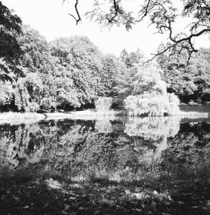 Kurpark: Salzteich