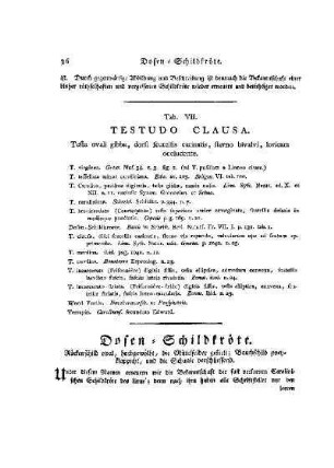 Tab. VII. Testudo Clausa : Dosen-Schildkröte