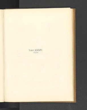 Tafel XXXIV. (Tafel II.)