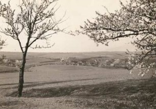 Daubnitz (Lommatzscher Pflege) und Talterrassenrest