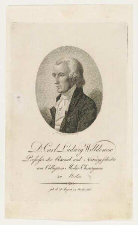 Bildnis des Carl Ludwig Wildenow