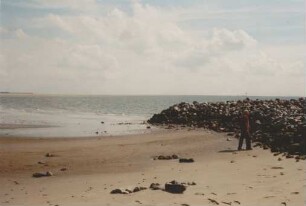 Steinsporn einer Buhne/Borkum