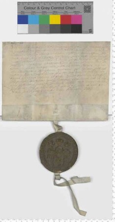 Bürgermeister und Rat der Stadt Lüneburg bestätigen einen Hausverkauf für die Erben G. D. von Dassels an Hartwig von Dassel.