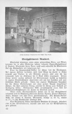 Großgärtnerei Neubert.