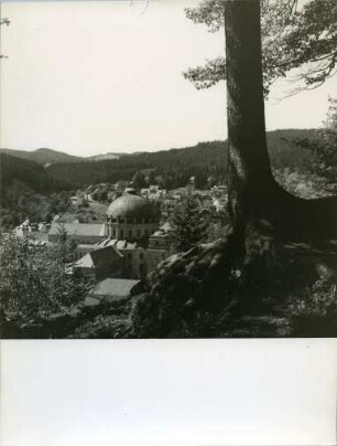 Blick auf Sankt Blasien