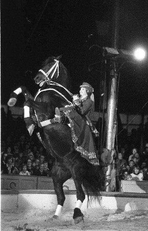Gastspiel des Zirkus Sarrasani auf dem Messplatz in Karlsruhe