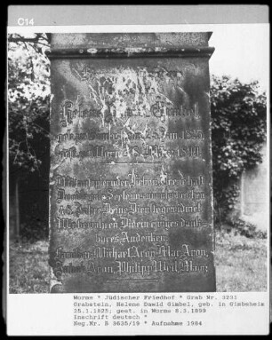 Grabstein von Helene Dawid Gimbel (gestorben 1899.03.08)