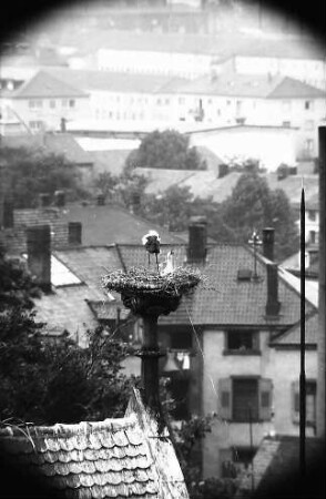 Freiburg: Blick vom Turm der Universität auf ein Storchennest auf der Universitätsbibliothek
