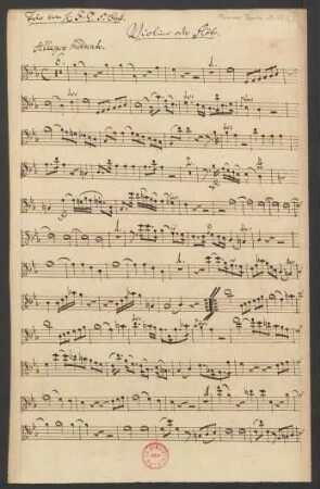 Violine oder Flöte
