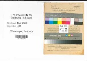 Entnazifizierung Friedrich Wehrmeyer , geb. 19.02.1909 (Polizeibeamter)