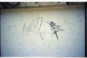 tomY