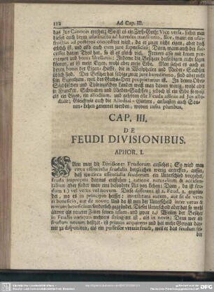 Cap. III. De Feudi Divisionibus