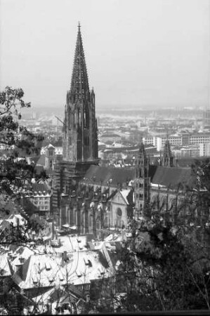 Freiburg: Münster vom Kanonenweg