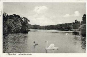 Mühlenteich