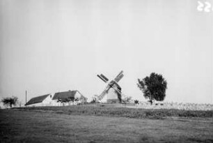 Bernstadt und Umgebung : Bockwindmühle und Gehöfte