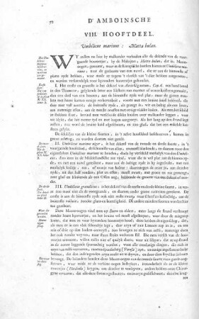 VIII. Hooftdeel. Umbilicus marinus: Matta bulan