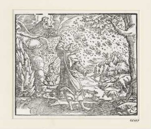 Fliegenplage, aus: Martin Luther, "Biblia: Das ist: Die gantze heilige Schrifft: Deudsch", Wittenberg 1561, S. 36 verso