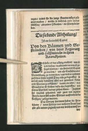 Die siebende Abtheilung/