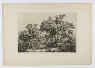 Zwei Eichen in Fontainebleau, aus: "Baum-Studien, nach der Natur radiert"