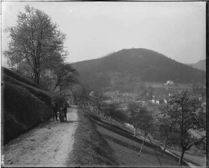 Kloster Lichtental Gesamtansicht von Norden