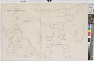 Altenberge (Altenberge), Nienberge (Münster), Teilung des Schlick und Schwickingsbergs, Bl. 2 Reinkarte