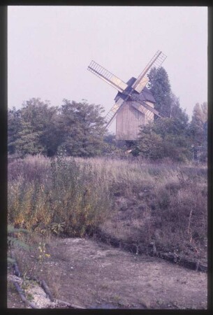 Bockwindmühle
