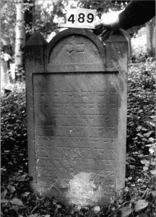 Grabstein 489 (Index: 99803808) Material: Sandstein Zustand: unten abgeblättert/Textverlust Maße HxBxT: 114x62x13 cm Beschreibung: Stele mit eingezogenem Rundbogen, profiliert. Rand, Seitenakroterien Symbolik: Seitenakroterien: Grabstein 489