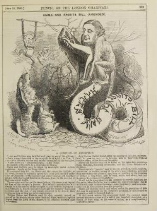 Hares and rabbits bill (amended)