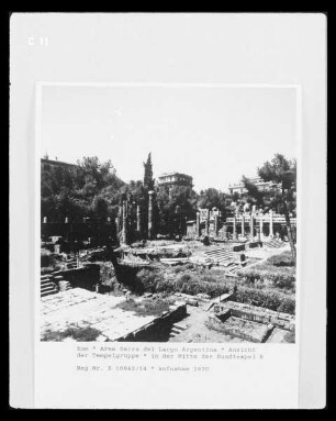 Area Sacra del Largo Argentina
