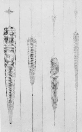 Schwingende Systeme, oszillographische Aufnahme : Technikgeschichte | Physik | Mechanik | Mechanische Schwingungen