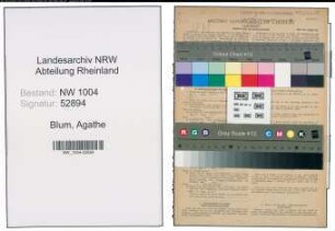 Entnazifizierung Agathe Blum , geb. 17.01.1901 (Notdienstverpflichtete)