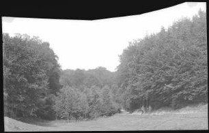 Stiege. Blick in den Eschensprung