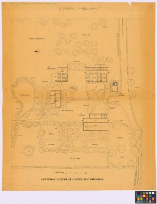 Steinbeck (Kreis Schönberg): Hof Tralau. Lageplan mit. - Dat Wahnhus [Wohnhaus] (Grundriss). - Bienenhaus (Grundriss). - zwei Aborten (Grundriss). - De Swinstall [Schweinestall] (Grundriss). - zwei Misthaufen (zwei Umrisse). - Ententümpel (Umriss). - Ententeich (Umriss). - Dat Viehhus [Pferde- und Kuhstall] (Grundriss). - Pumpe (Grundriss). - Dat Backhus [Backhaus] (Grundriss). - De Schün [Scheune] (Grundriss). - Hainbuchenlaube (Aufsicht)